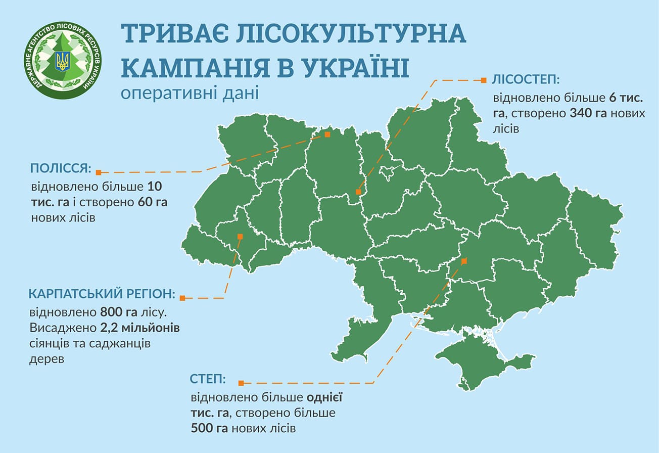 340 гектар. Лесные ресурсы Украины карта. Карпатский регион Украина. Карпатские леса на карте. Ліси в Україні по областям.